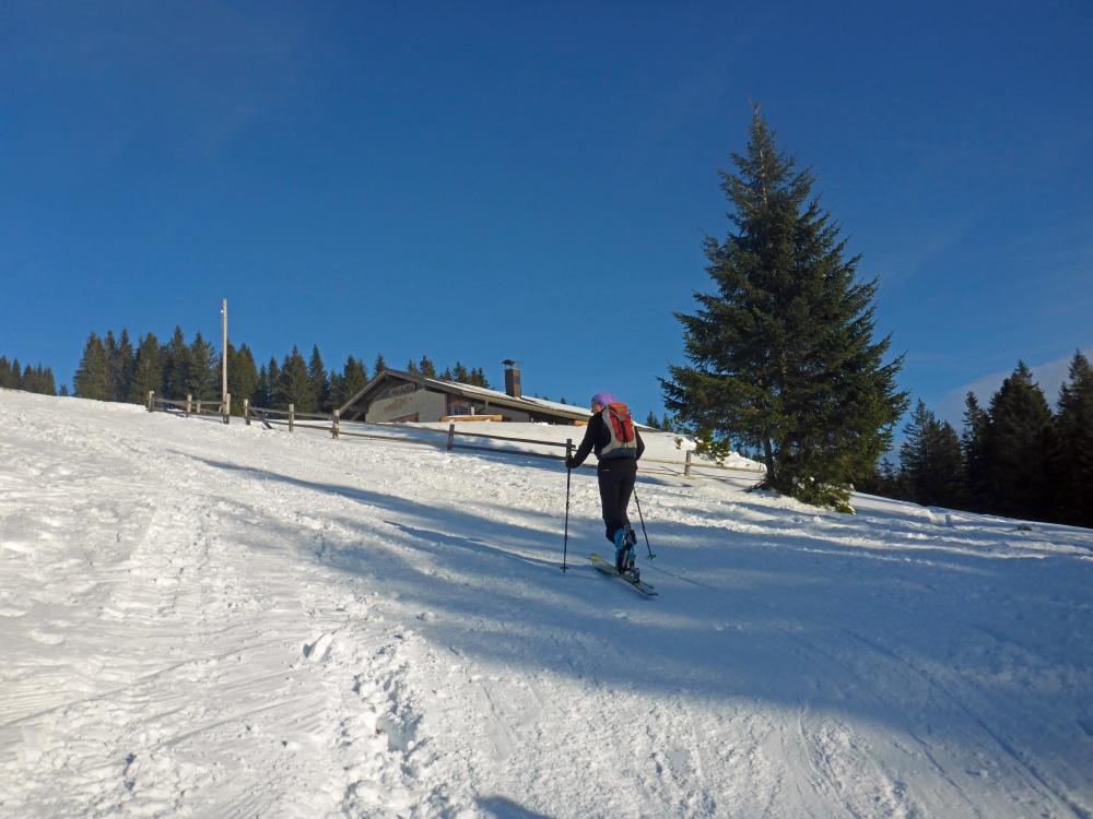 Tirolerkogel (100 Bildaufrufe)