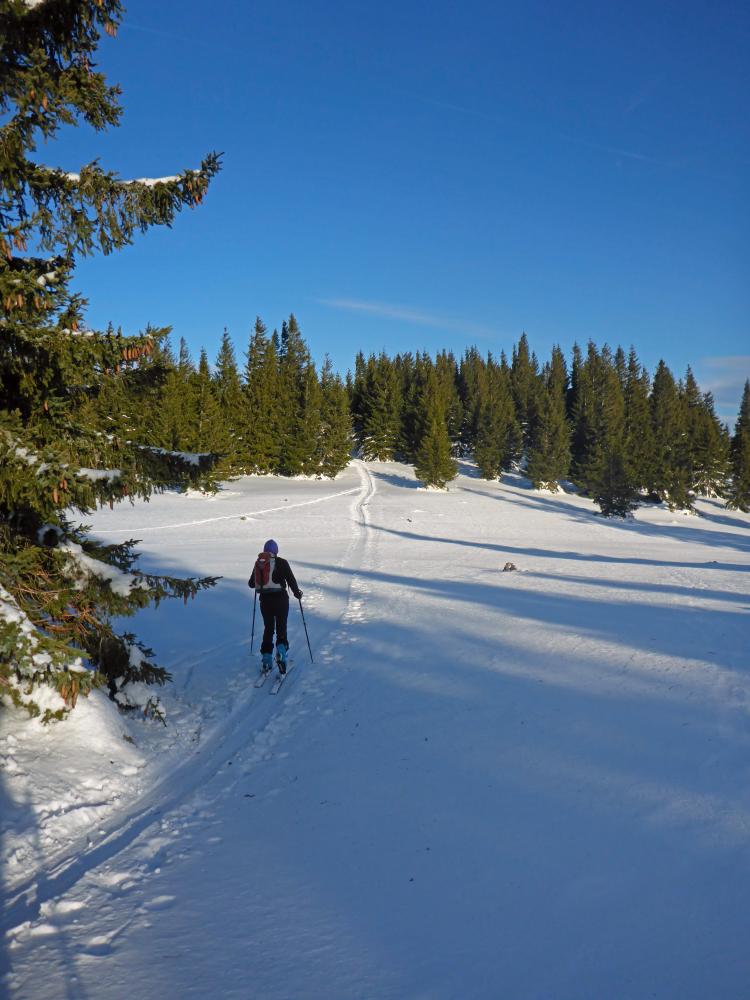 Tirolerkogel (99 Bildaufrufe)