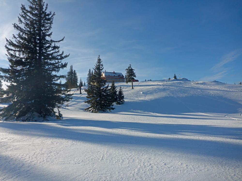 Tirolerkogel (105 Bildaufrufe)