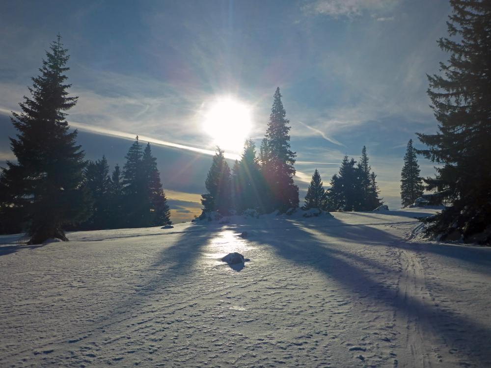Tirolerkogel (98 Bildaufrufe)