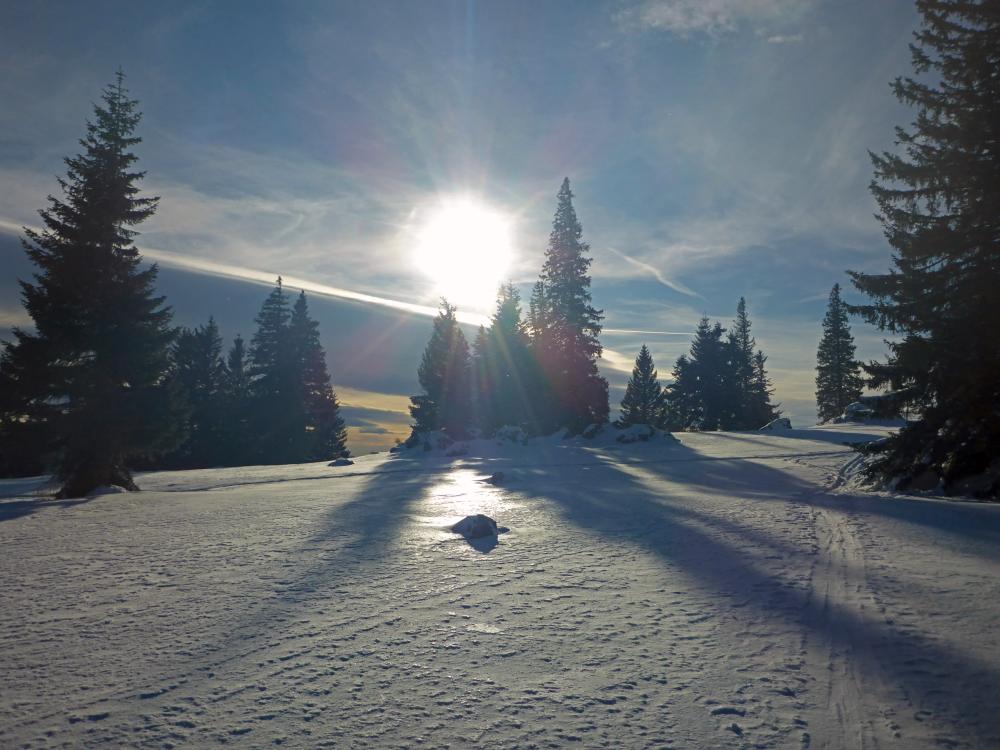 Tirolerkogel (91 Bildaufrufe)