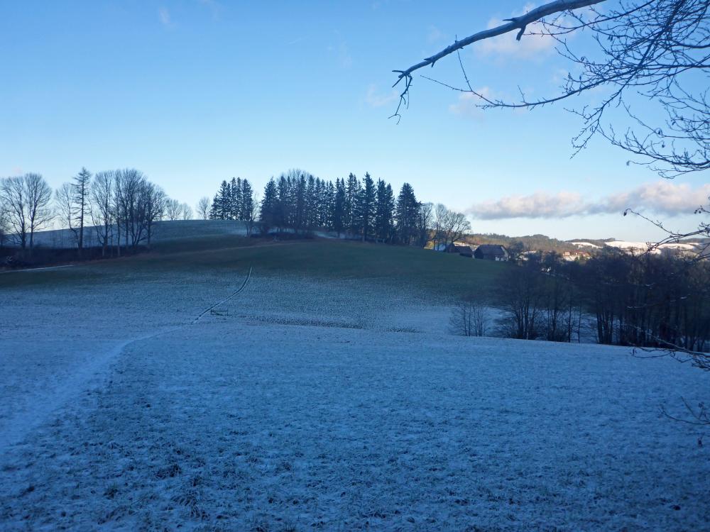 Steinwandleiten (110 Bildaufrufe)