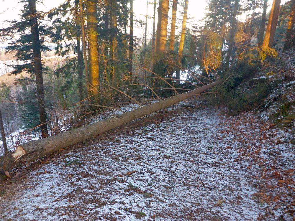 Steinwandleiten (100 Bildaufrufe)