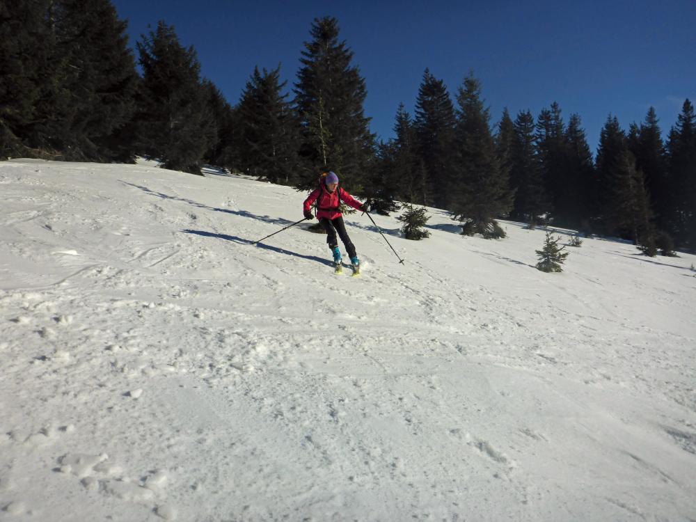 Hennesteck (72 Bildaufrufe)