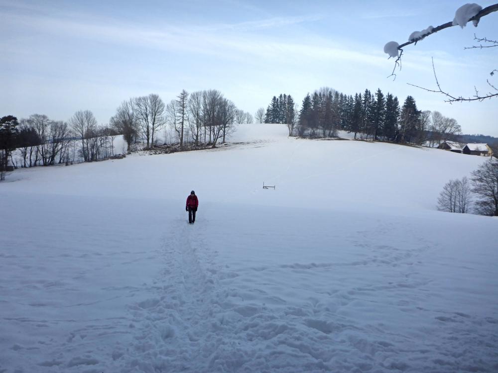 Steinwandleiten (68 Bildaufrufe)