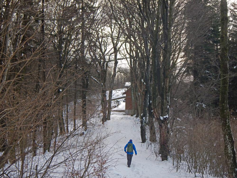 Steinwandleiten (90 Bildaufrufe)