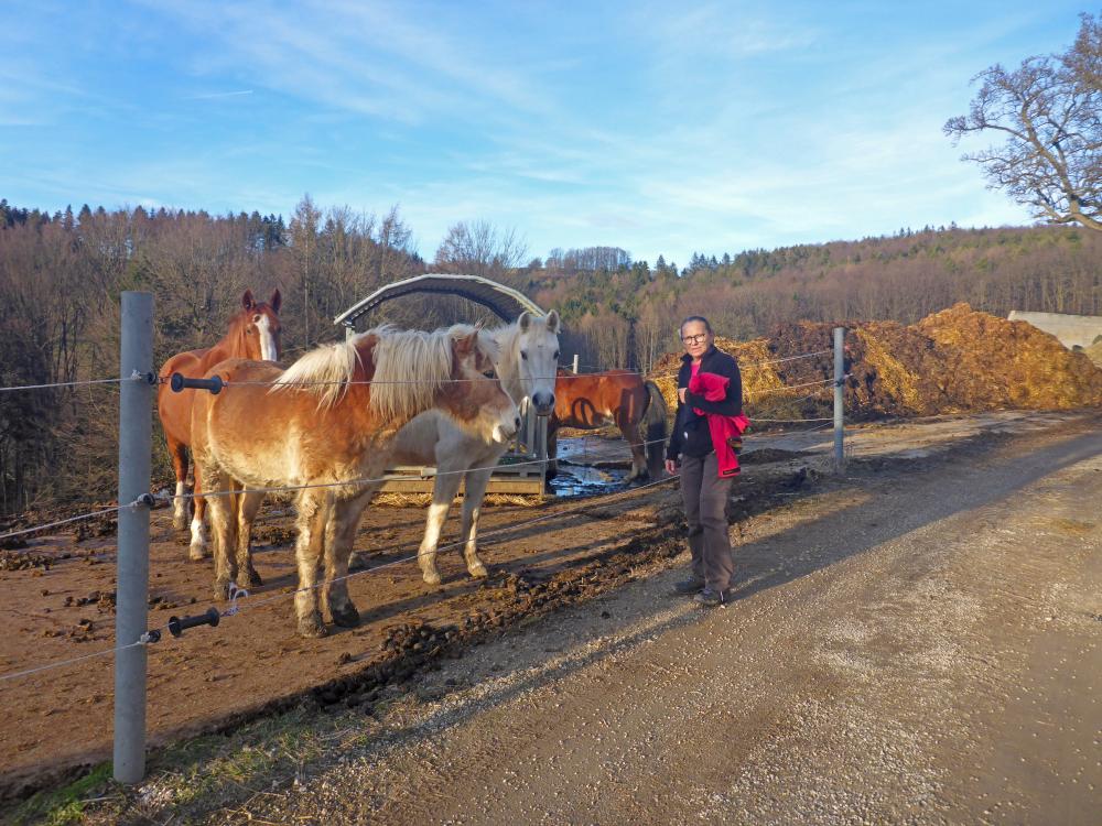 Rudolfshöhe (88 Bildaufrufe)