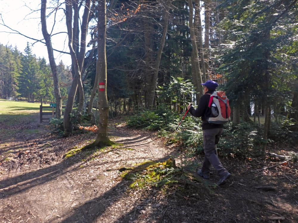 Kukubauerwiese (70 Bildaufrufe)