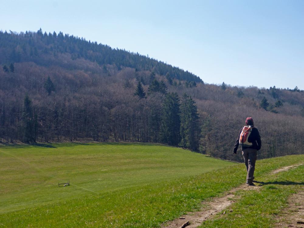 Steinwandleiten (51 Bildaufrufe)