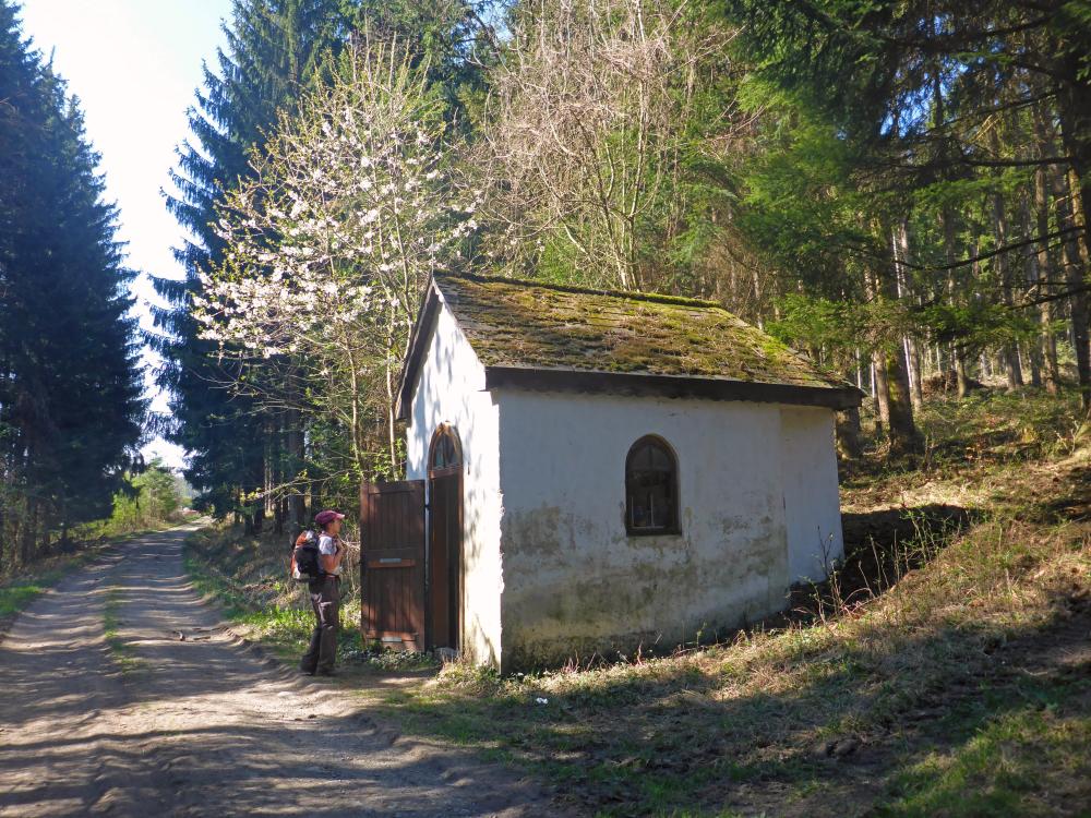 Kaiserkogel (80 Bildaufrufe)