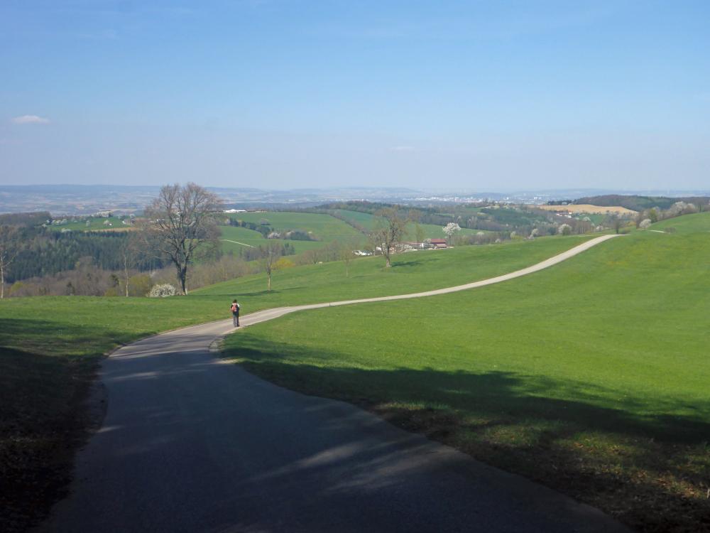 Kaiserkogel (62 Bildaufrufe)
