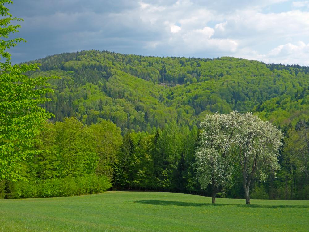 Valeriehöhe (54 Bildaufrufe)