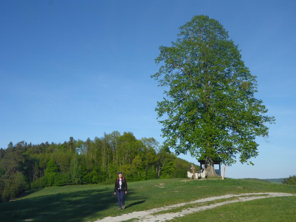 Rudolfshöhe (74 Bildaufrufe)