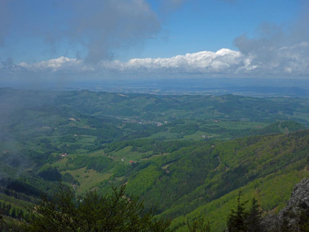 Hohenstein (111 Bildaufrufe)
