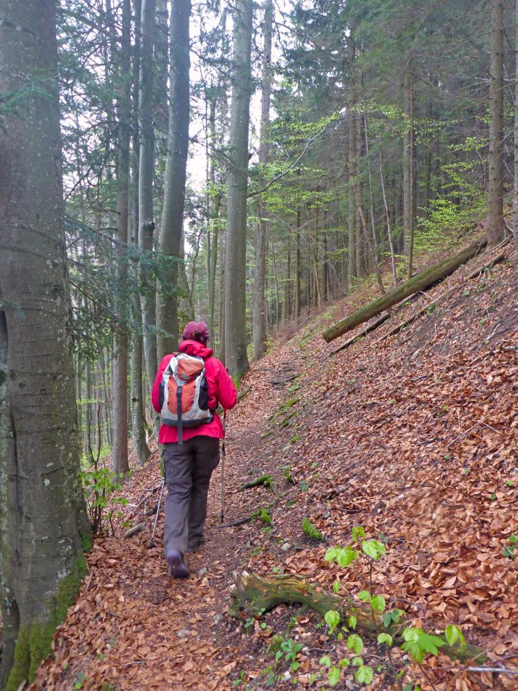 Hohenstein (145 Bildaufrufe)