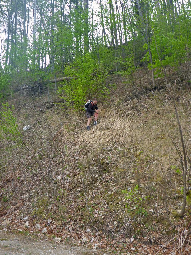 Kieneck (120 Bildaufrufe)