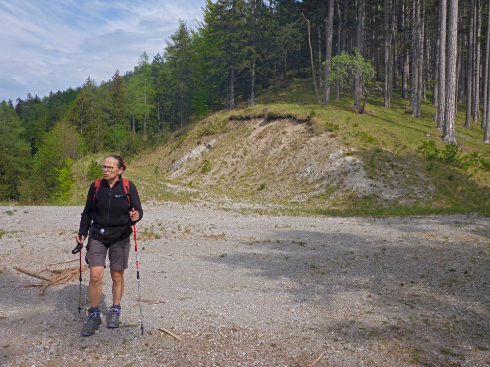 Kieneck (94 Bildaufrufe)