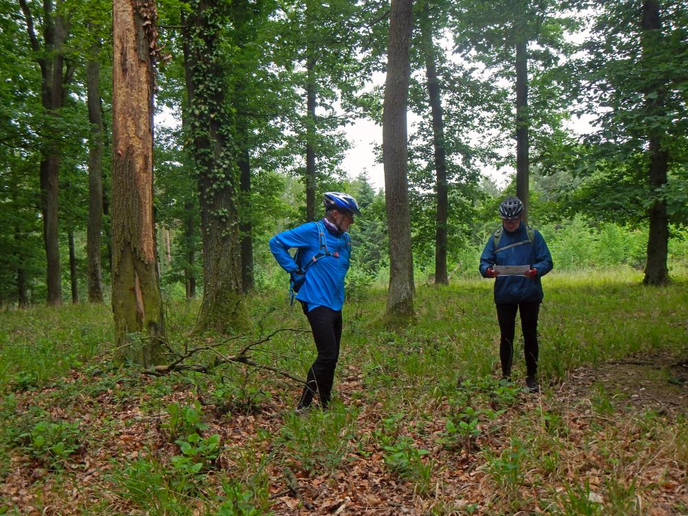 Seelackenberg - Gutenbrunner Wald (103 Bildaufrufe)
