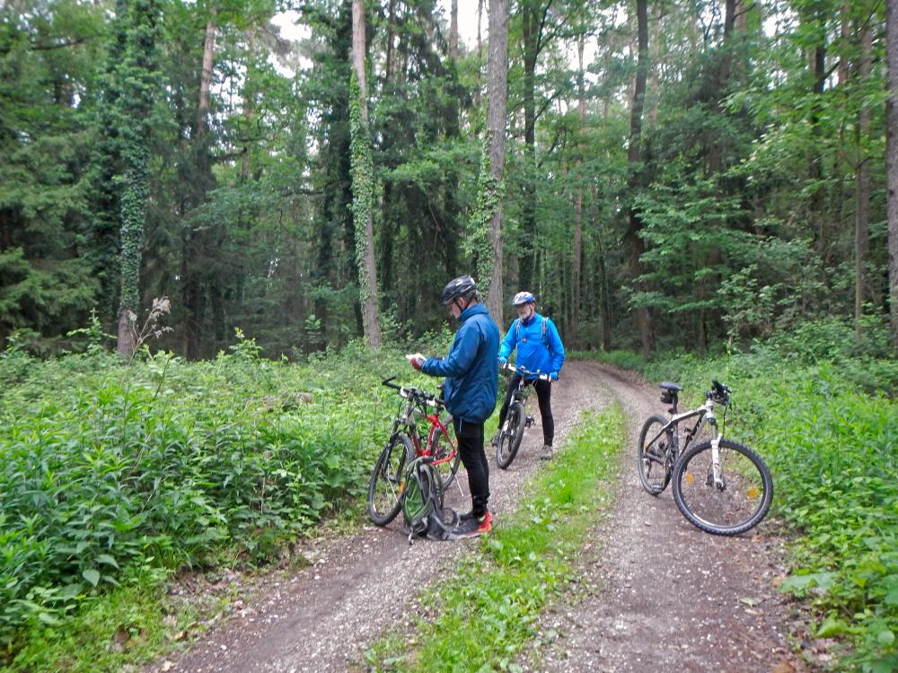 Seelackenberg - Gutenbrunner Wald (88 Bildaufrufe)