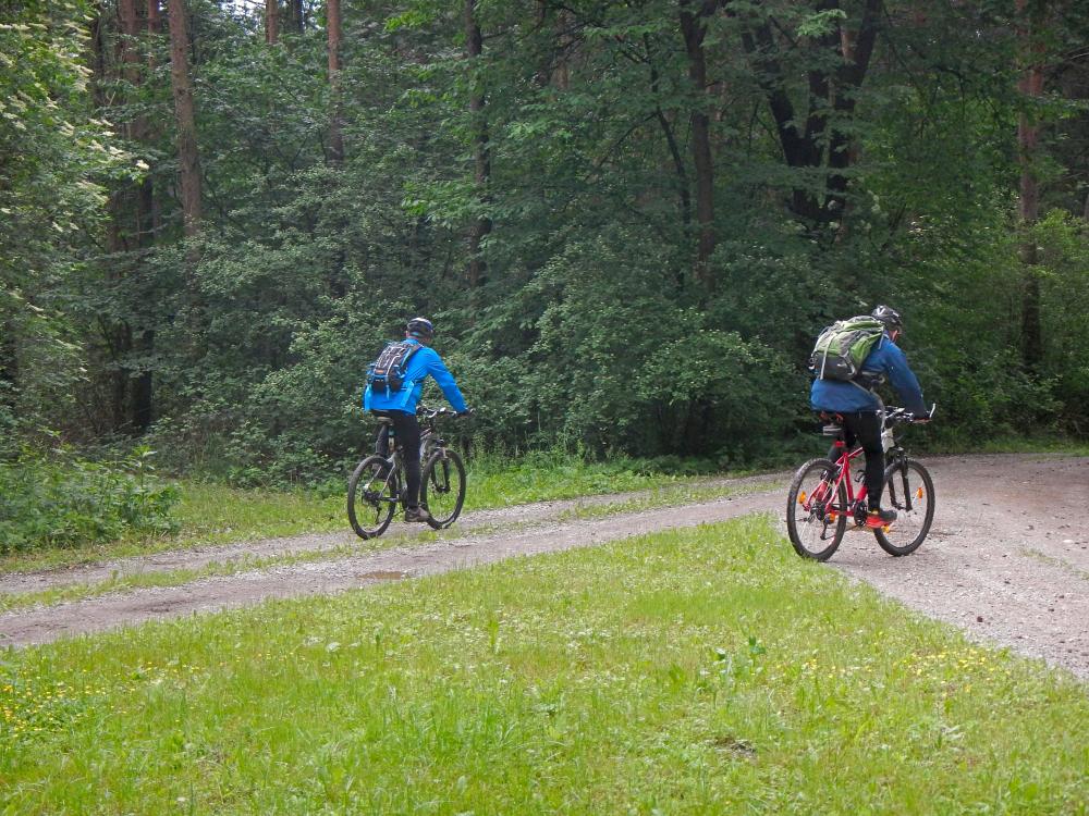 Seelackenberg - Gutenbrunner Wald (101 Bildaufrufe)