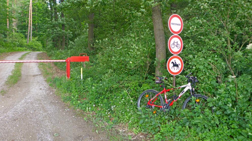 Seelackenberg - Gutenbrunner Wald (101 Bildaufrufe)