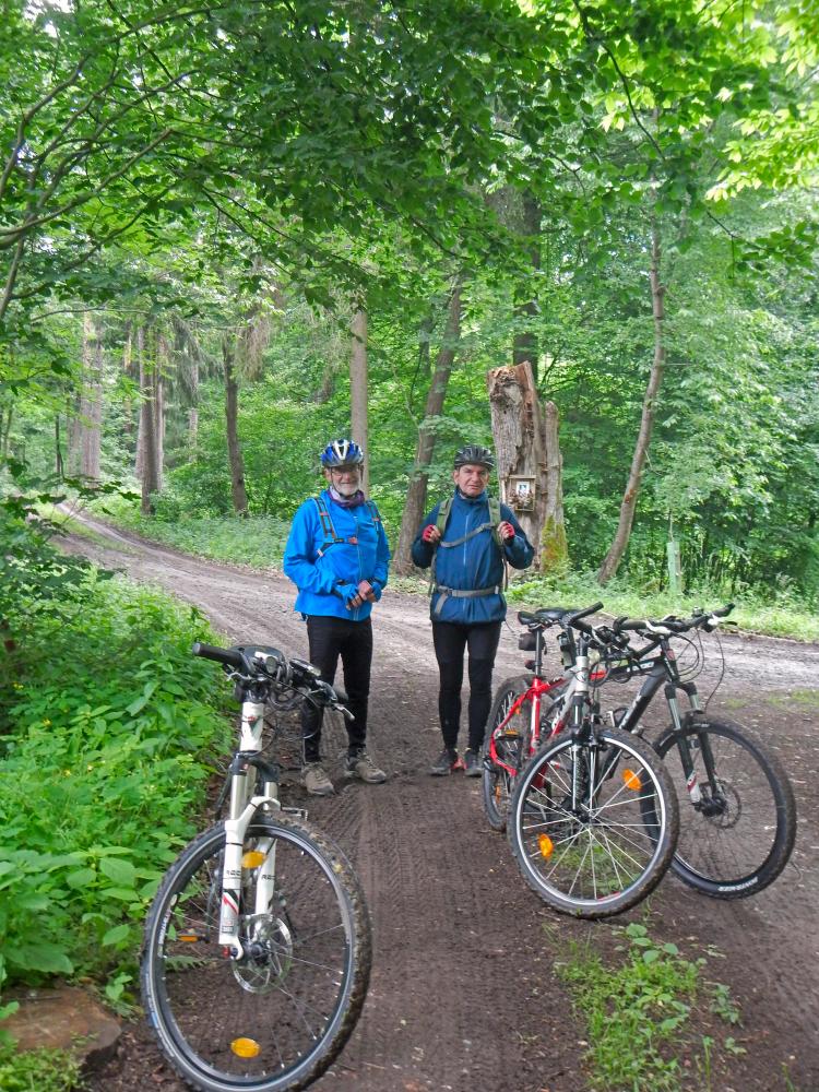 Seelackenberg - Gutenbrunner Wald (66 Bildaufrufe)