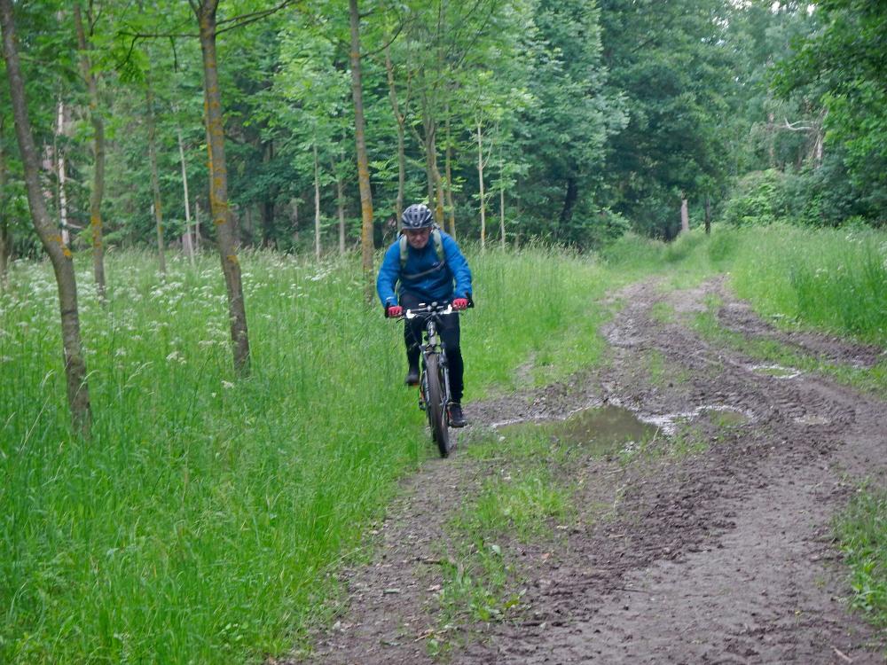 Seelackenberg - Gutenbrunner Wald (69 Bildaufrufe)