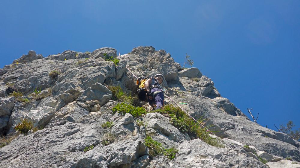 Drachenwand (81 Bildaufrufe)