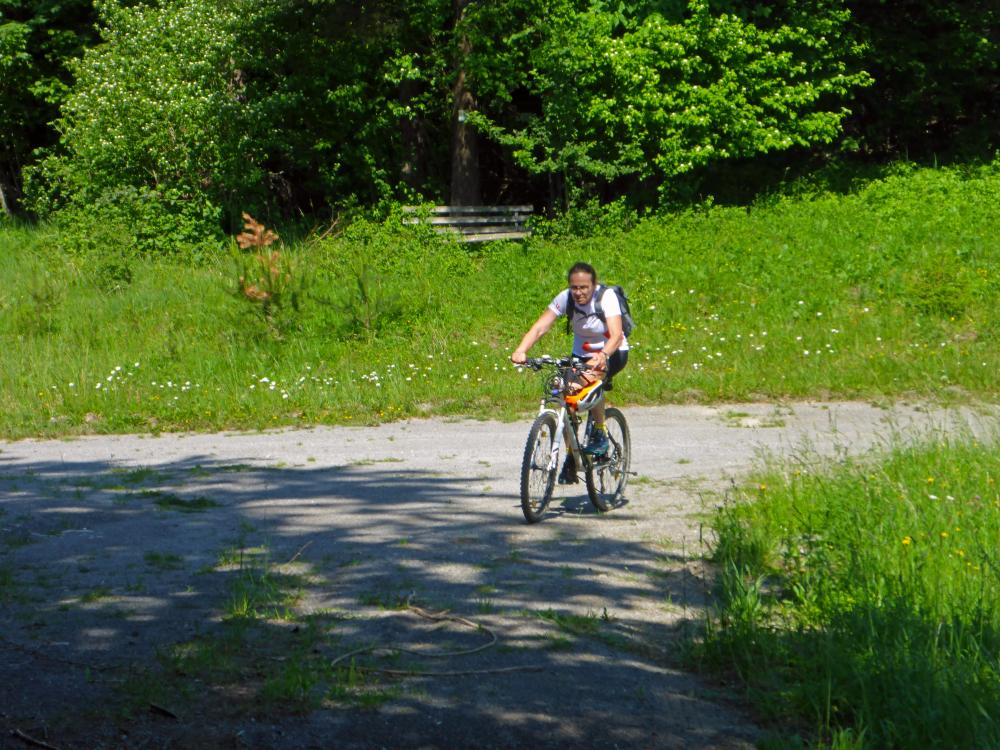 Hasberg (65 Bildaufrufe)