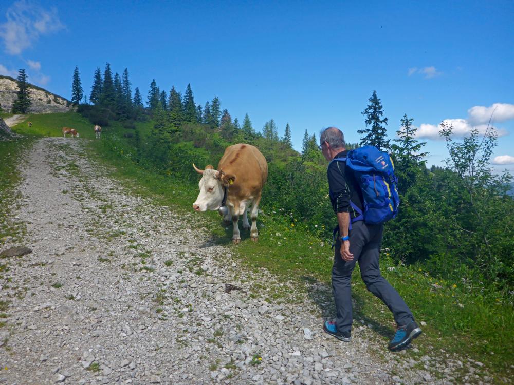 Hochkar (66 Bildaufrufe)