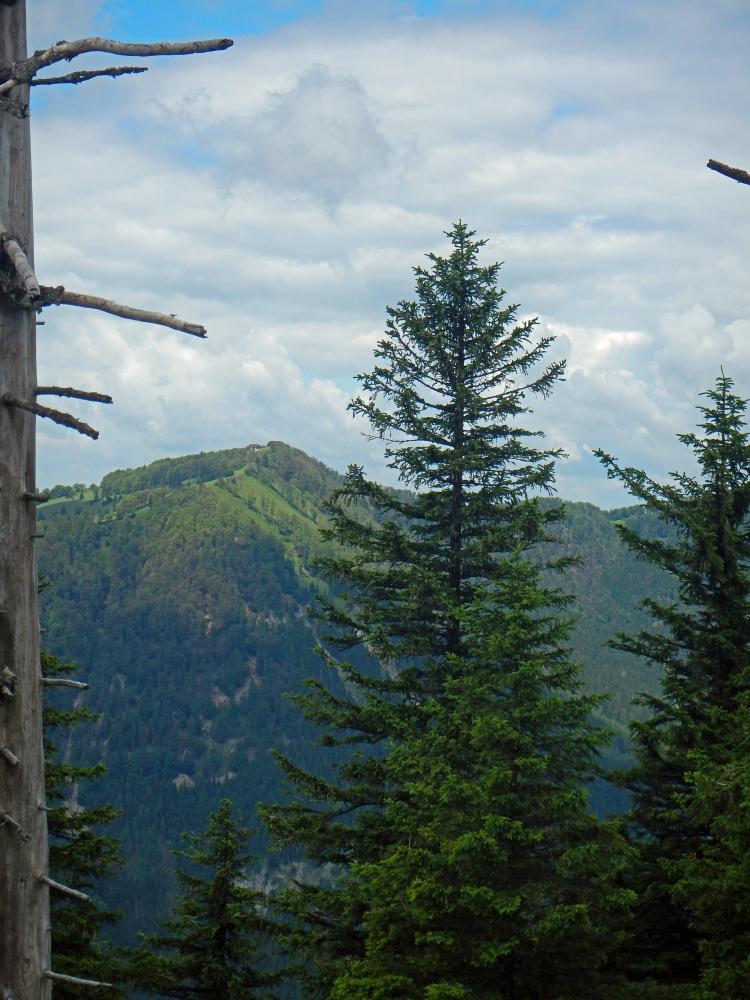 Schwarzkogel (76 Bildaufrufe)