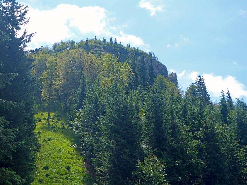 Schwarzkogel (72 Bildaufrufe)