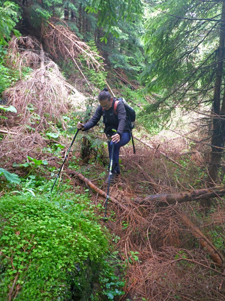 Schwarzkogel (82 Bildaufrufe)