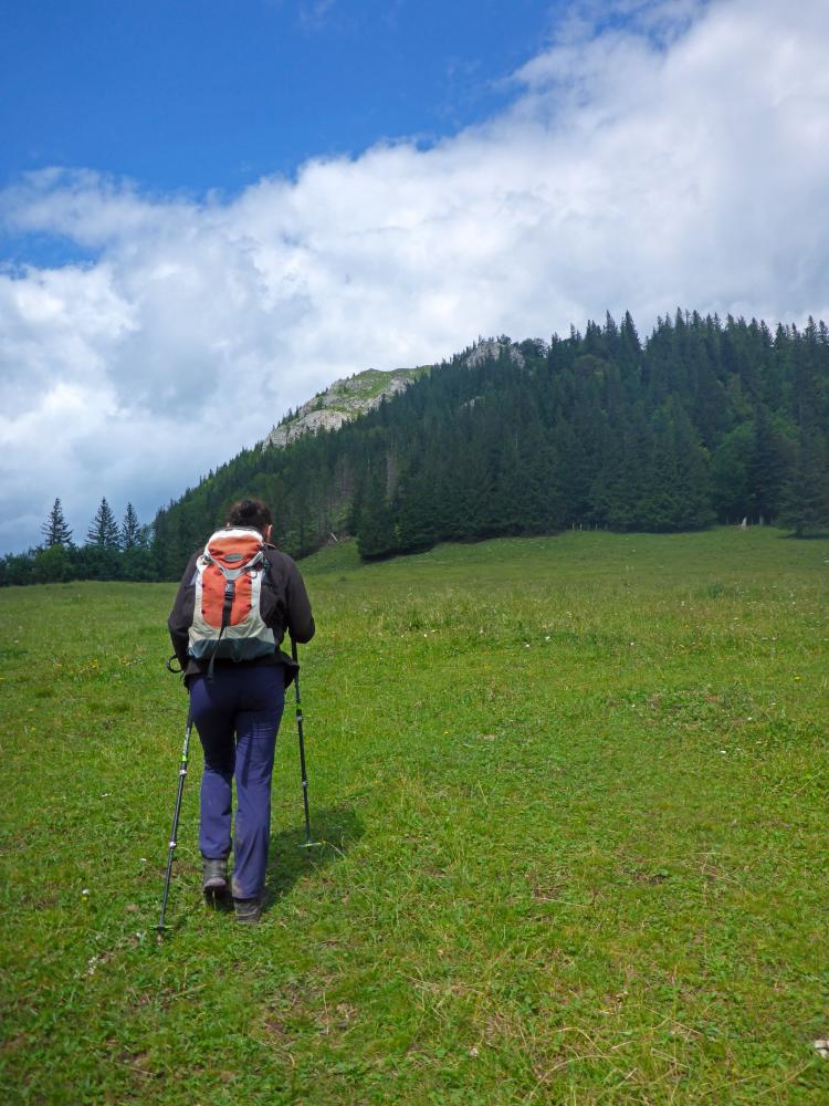 Schwarzkogel (78 Bildaufrufe)