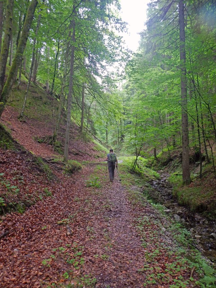 Höllkogel (90 Bildaufrufe)