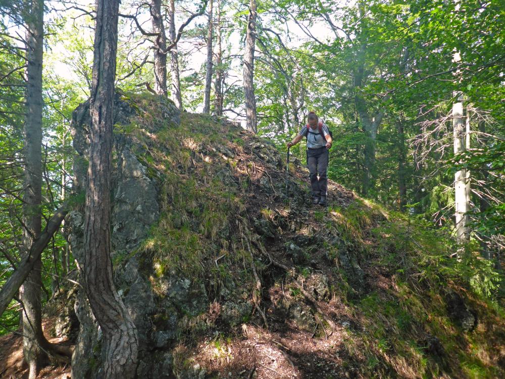 Höllkogel (60 Bildaufrufe)
