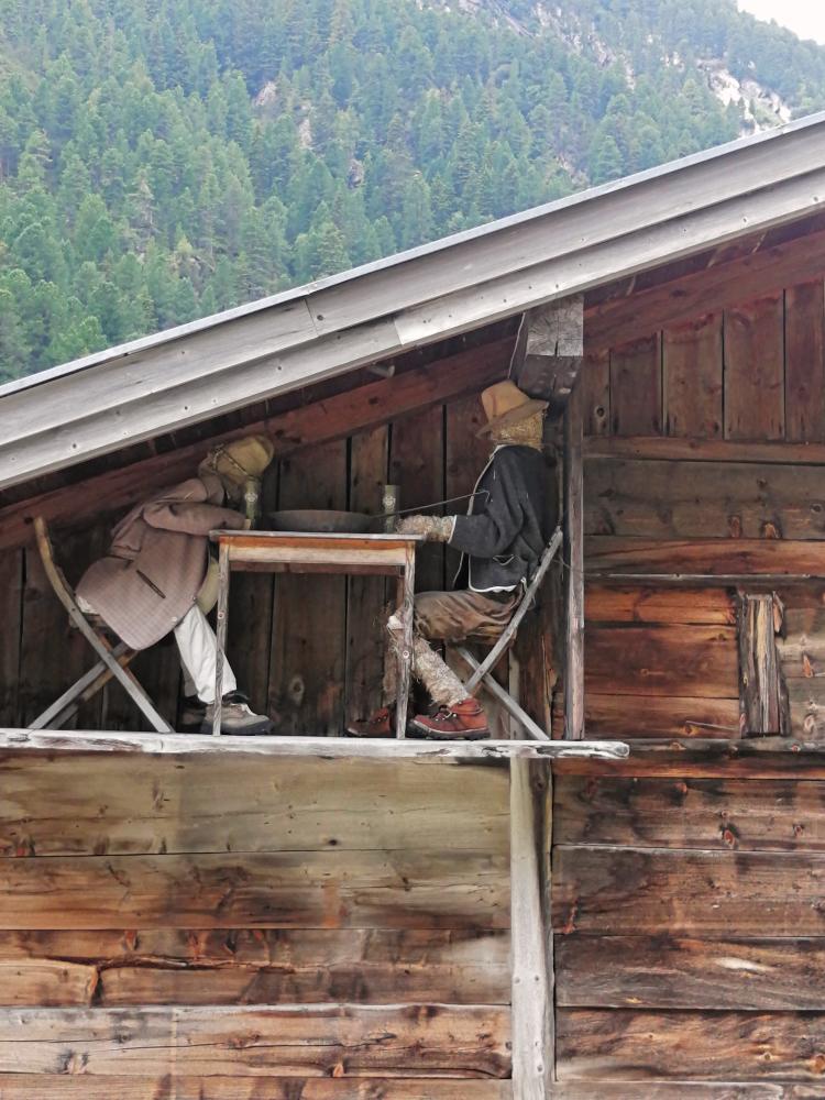 Söllnalm (59 Bildaufrufe)
