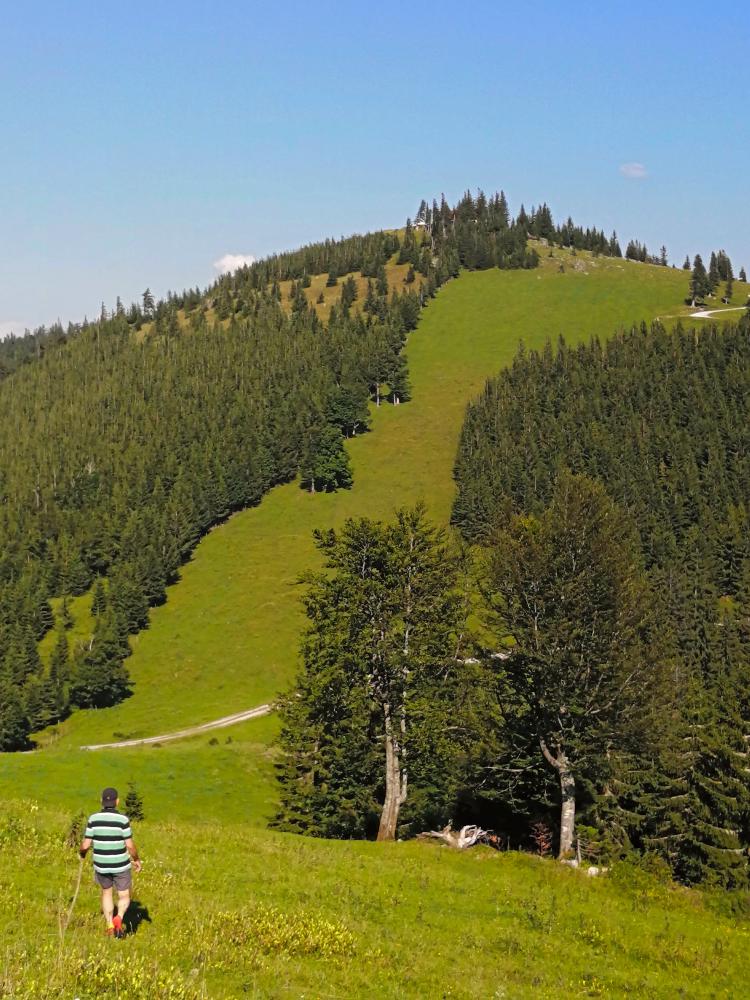 Ahornberg (94 Bildaufrufe)