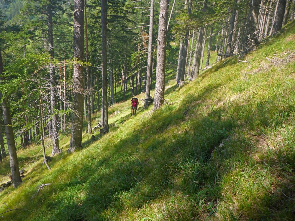 Brandstätterkogel (87 Bildaufrufe)