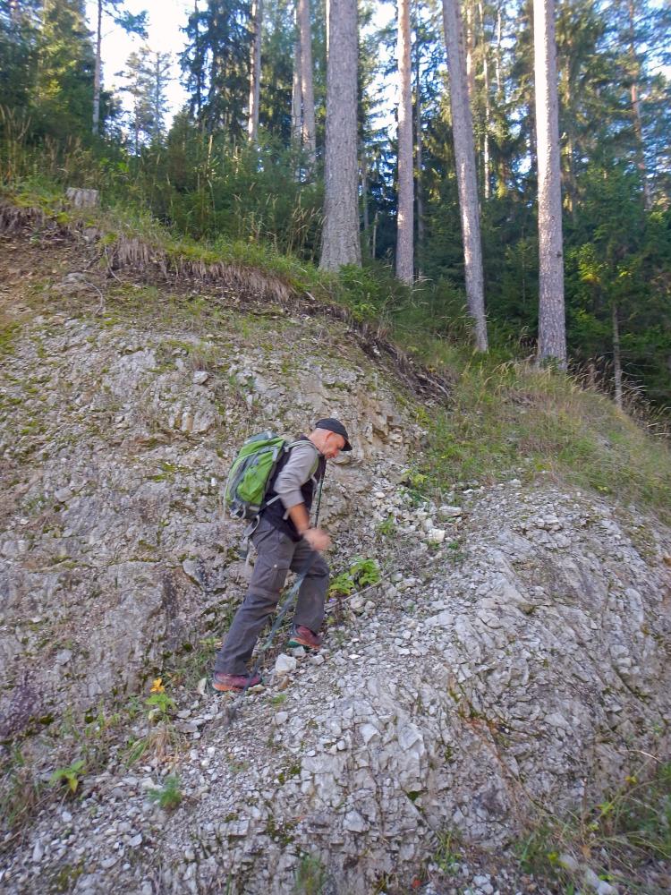 Haselstein (66 Bildaufrufe)
