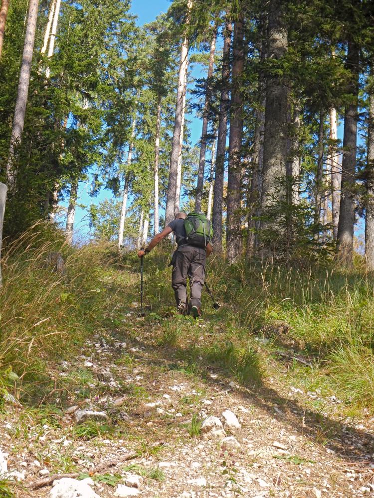 Haselstein (62 Bildaufrufe)