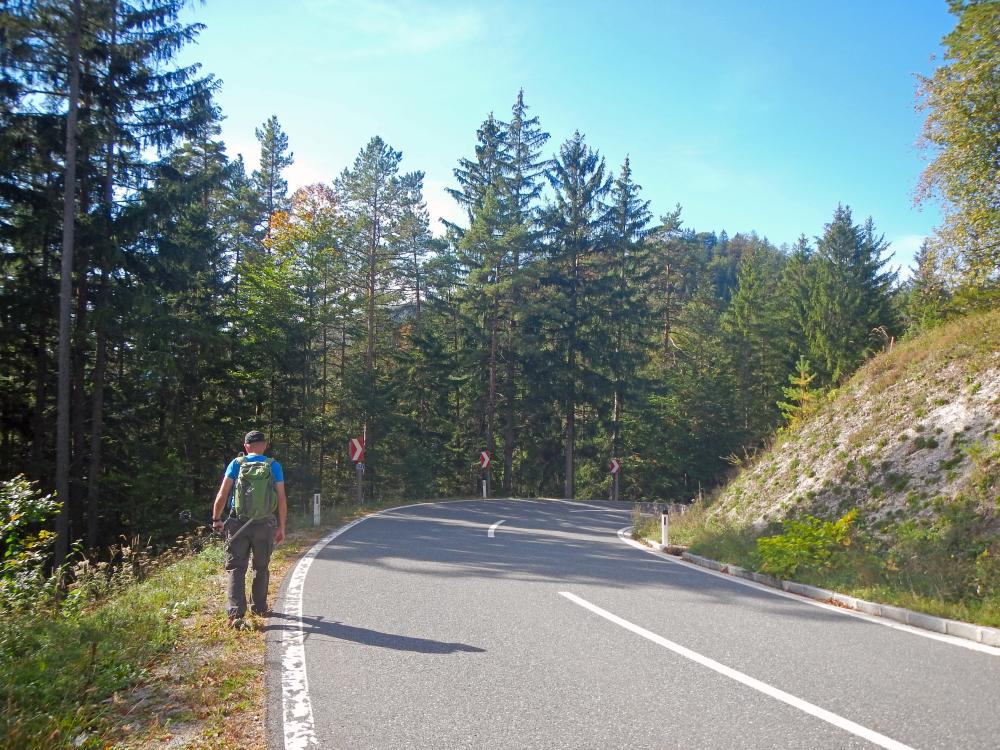 Poldlberg, Thorecker Kogel (103 Bildaufrufe)