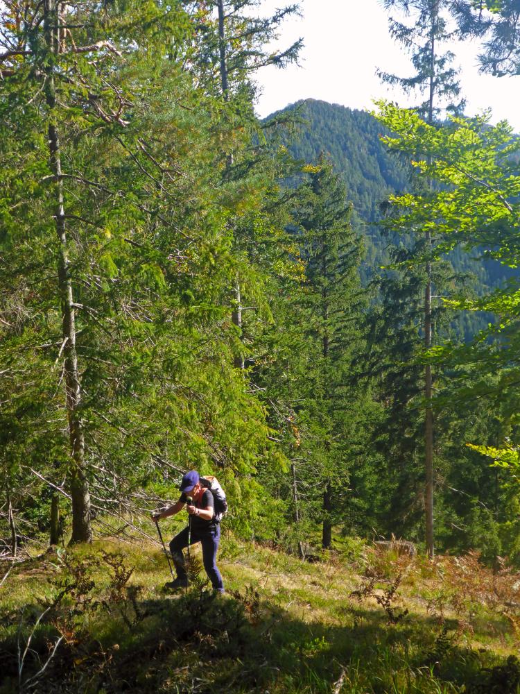Poldlberg, Thorecker Kogel (98 Bildaufrufe)