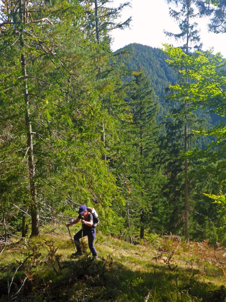 Poldlberg, Thorecker Kogel (80 Bildaufrufe)