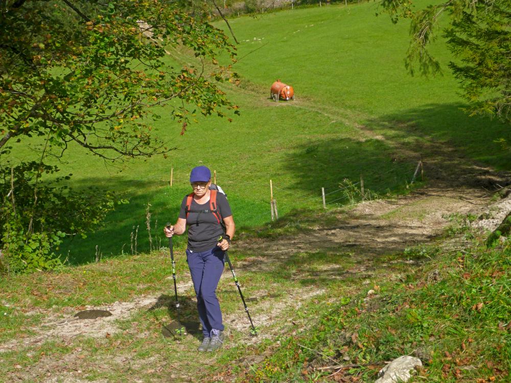 Poldlberg, Thorecker Kogel (133 Bildaufrufe)