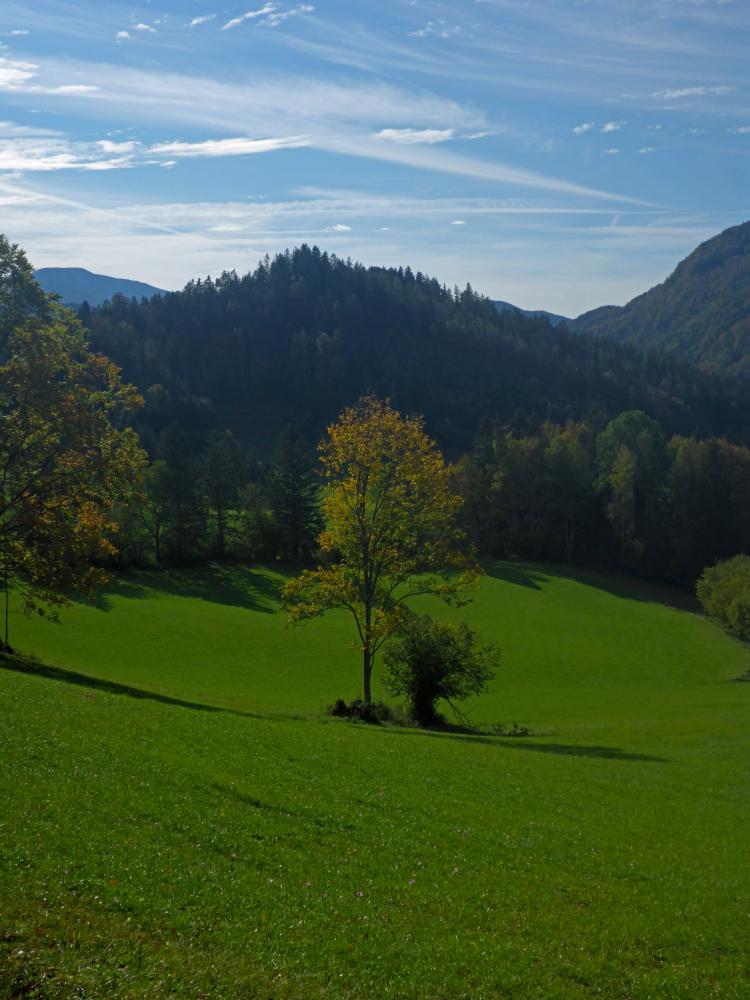 Poldlberg, Thorecker Kogel (108 Bildaufrufe)