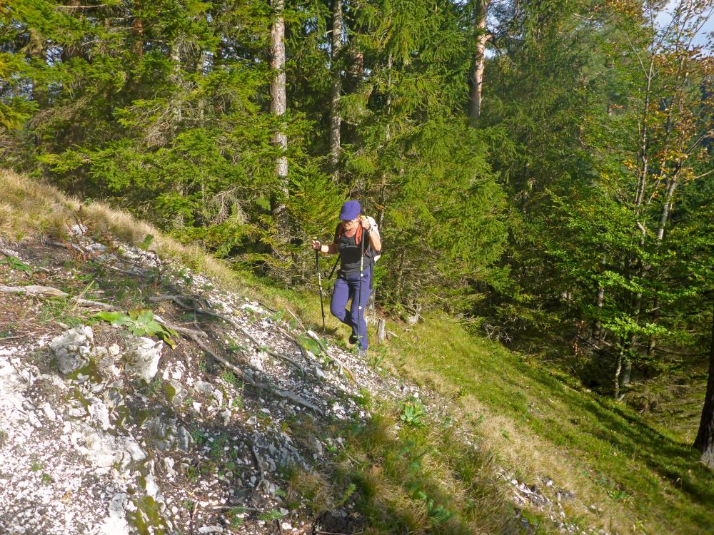 Poldlberg, Thorecker Kogel (134 Bildaufrufe)