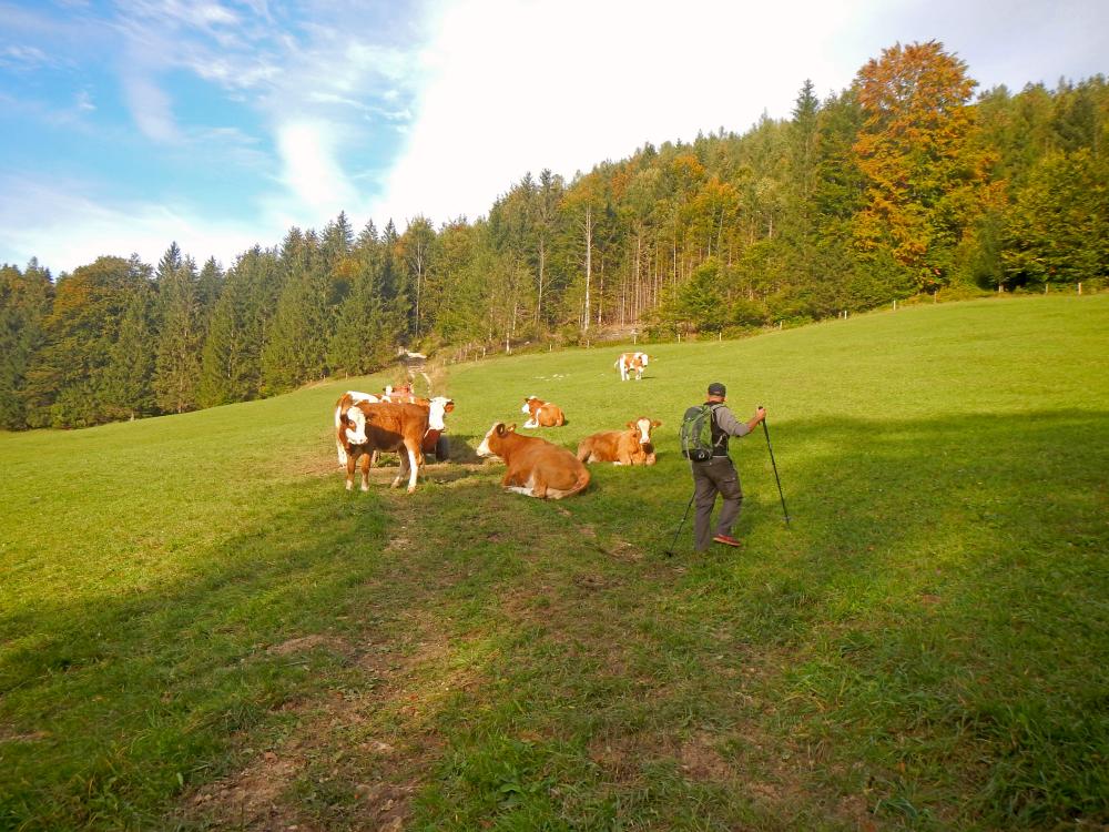 Poldlberg, Thorecker Kogel (112 Bildaufrufe)