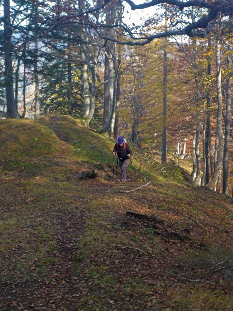Gr.Zellerhut (96 Bildaufrufe)