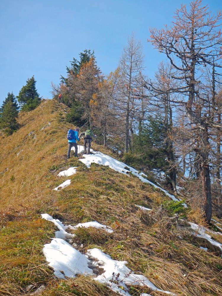 Gr.Zellerhut (90 Bildaufrufe)